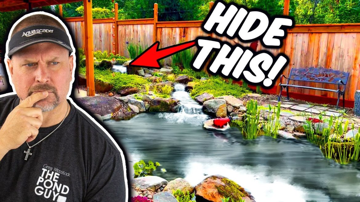 HIDE IT. If it doesn't look like this, it's probably not right. KOI POND