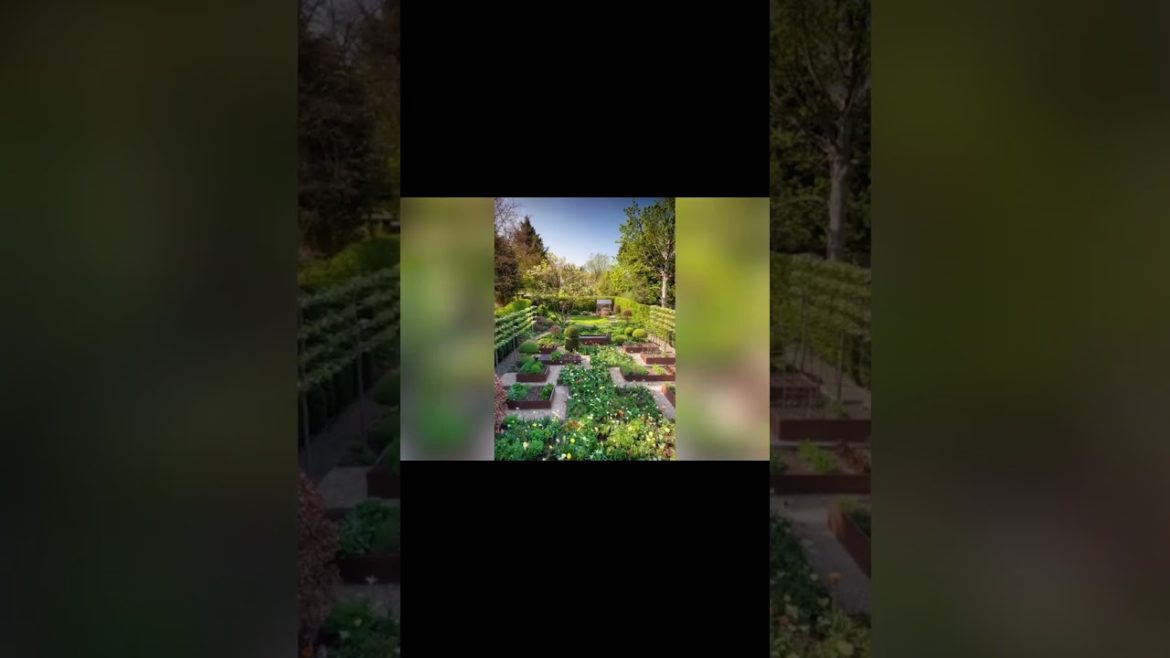 Small north London garden | Backyard 2022 #shorts Small north London garden | Backyard 2022 #shorts