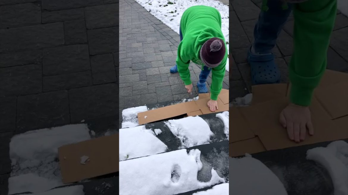 Cardboard Insulation Compost Tip | #compost #tips #cardboard #winter #shorts