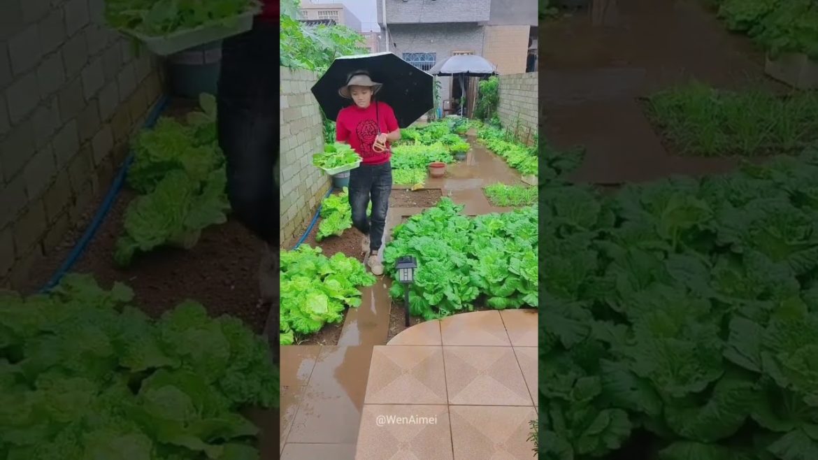 Beautiful Nature with Rural Life #shorts #naturalife #rurallife