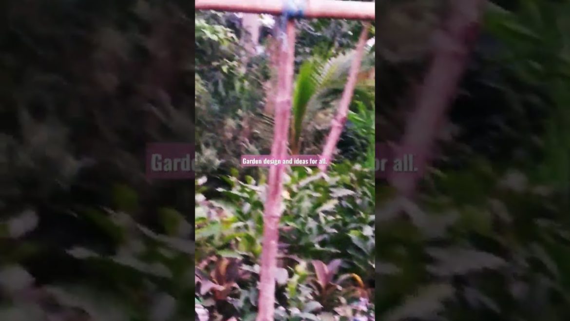 Garden design and ideas for all. #shorts