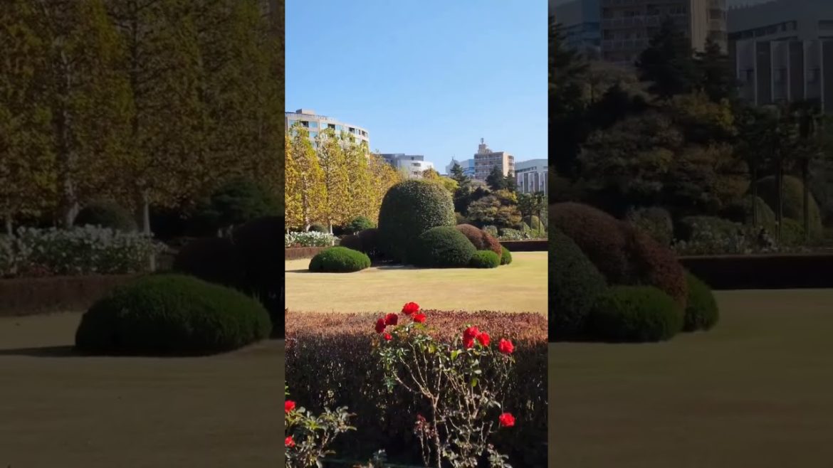 Shinjuku Gyoen 新宿御苑, Tokyo, Japan