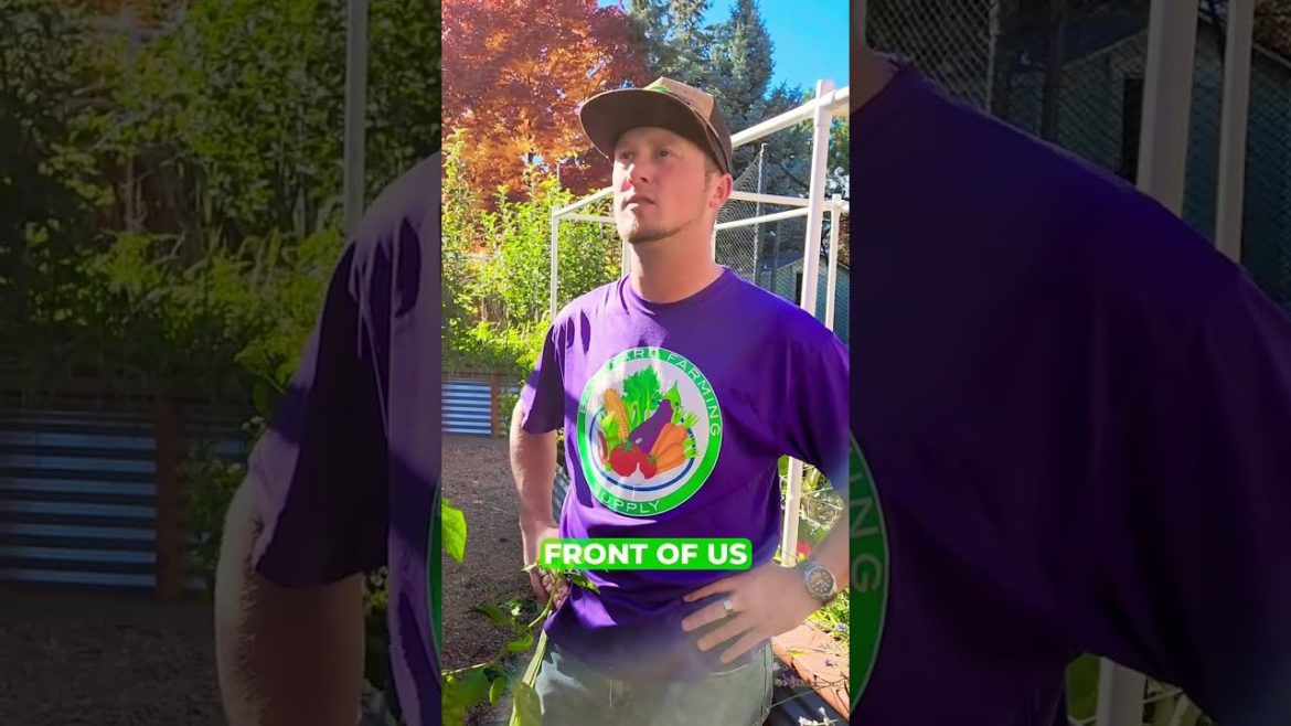 This is what gardening has taught us... 🙏🌱☀️ #novembergarden #fallgardeningtips