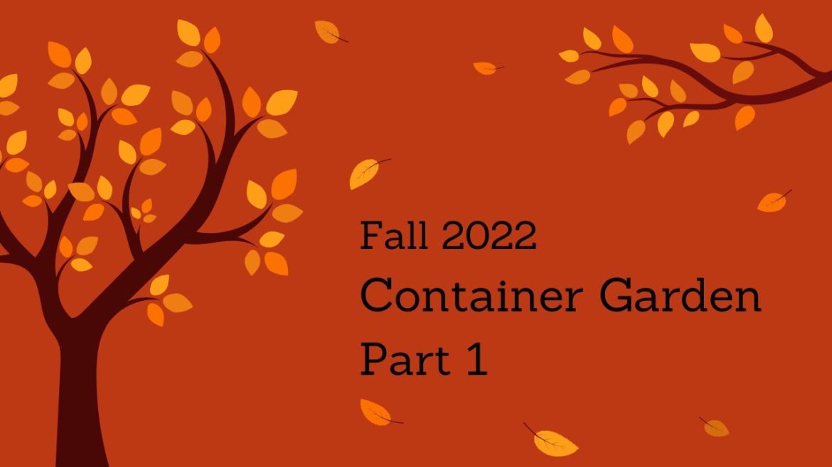 Fall 2022 Container Garden Planting Part 1