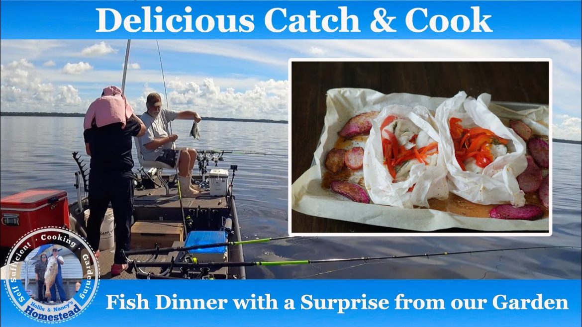 Catch and Cook: A Surprising Vegetable from Our Garden Catch and Cook: A Surprising Vegetable from Our Garden
