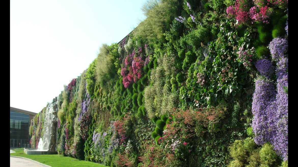 Hanging flowers on fences | Beautiful House | Beautiful Garden