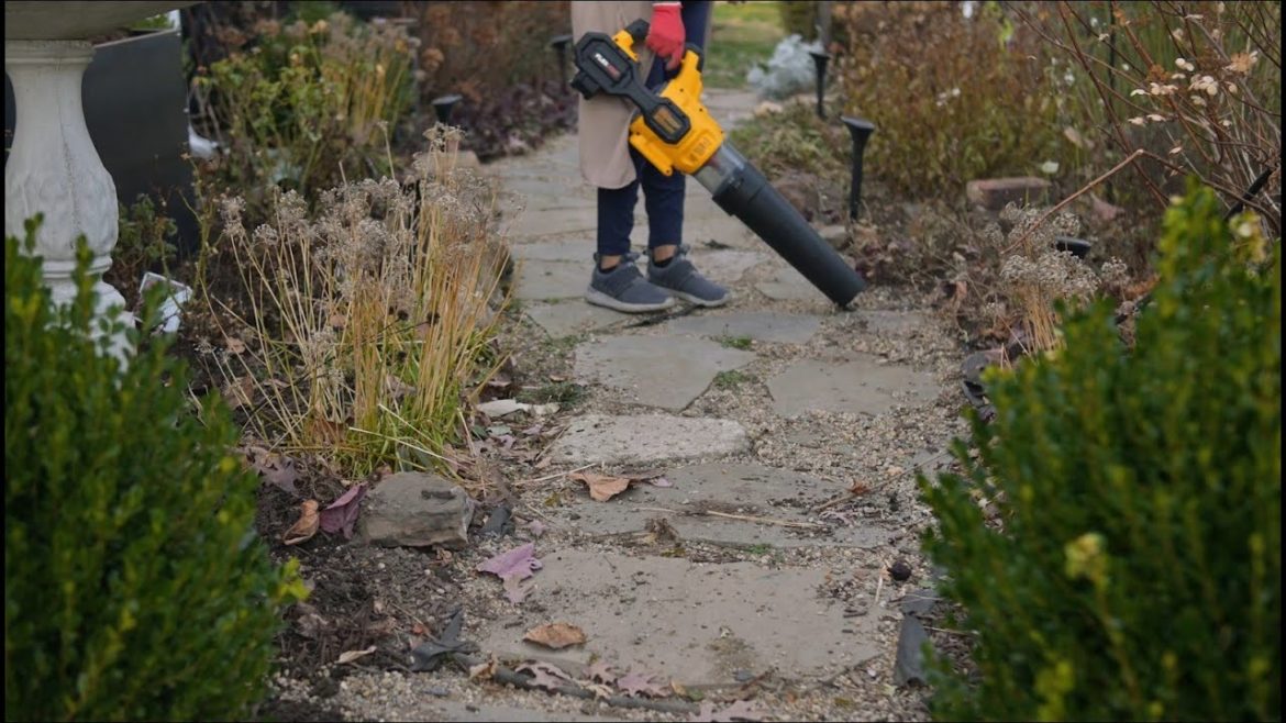 They didn't make me happy anymore! Making room for new plants. They didn't make me happy anymore! Making room for new plants.