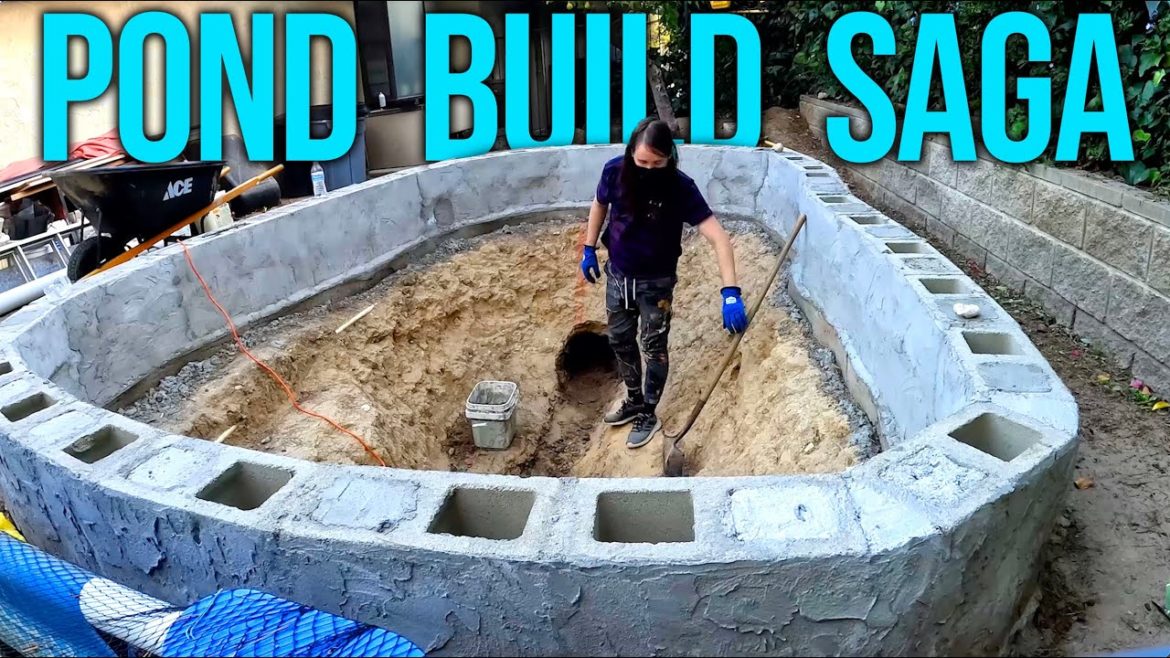 Backyard Koi Pond Build, Ready For Plumbing! Backyard Koi Pond Build, Ready For Plumbing!