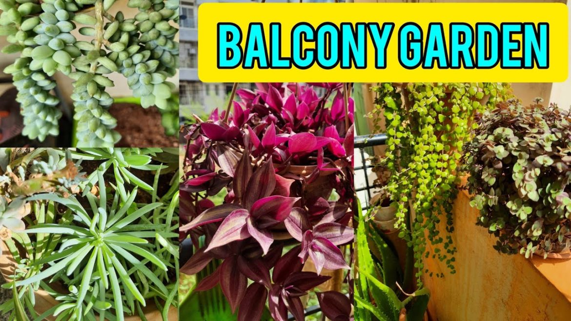 Flat Balcony Garden Ideas /Small space Garden Ideas/Beautiful Balcony Garden Arrangementbat my flat