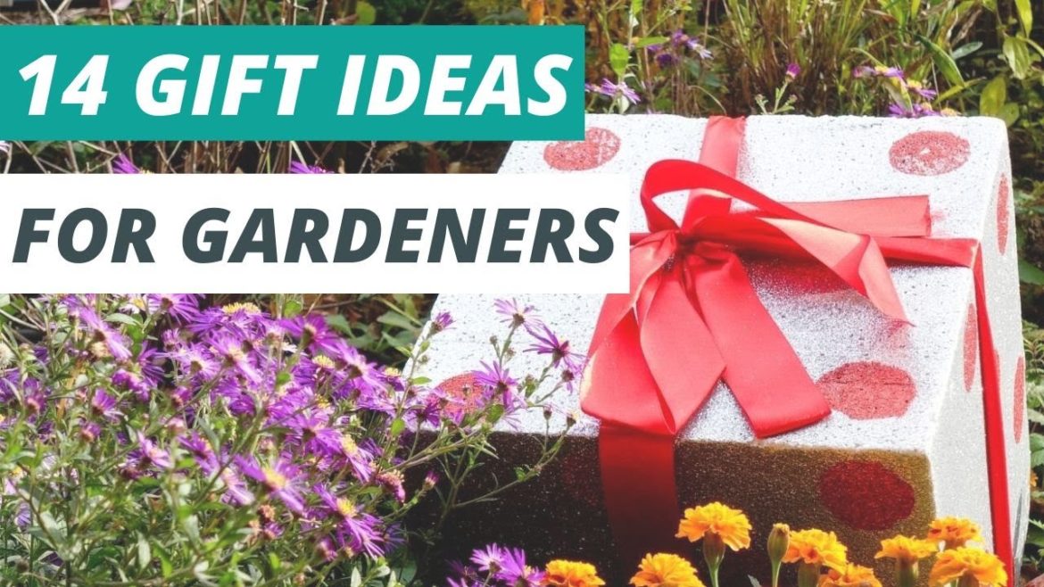 14 Gift Ideas for Gardeners ๐ Stocking Stuffers, Personalized Gifts, Practical Gifts, and More! 14 Gift Ideas for Gardeners ๐ Stocking Stuffers, Personalized Gifts, Practical Gifts, and More!