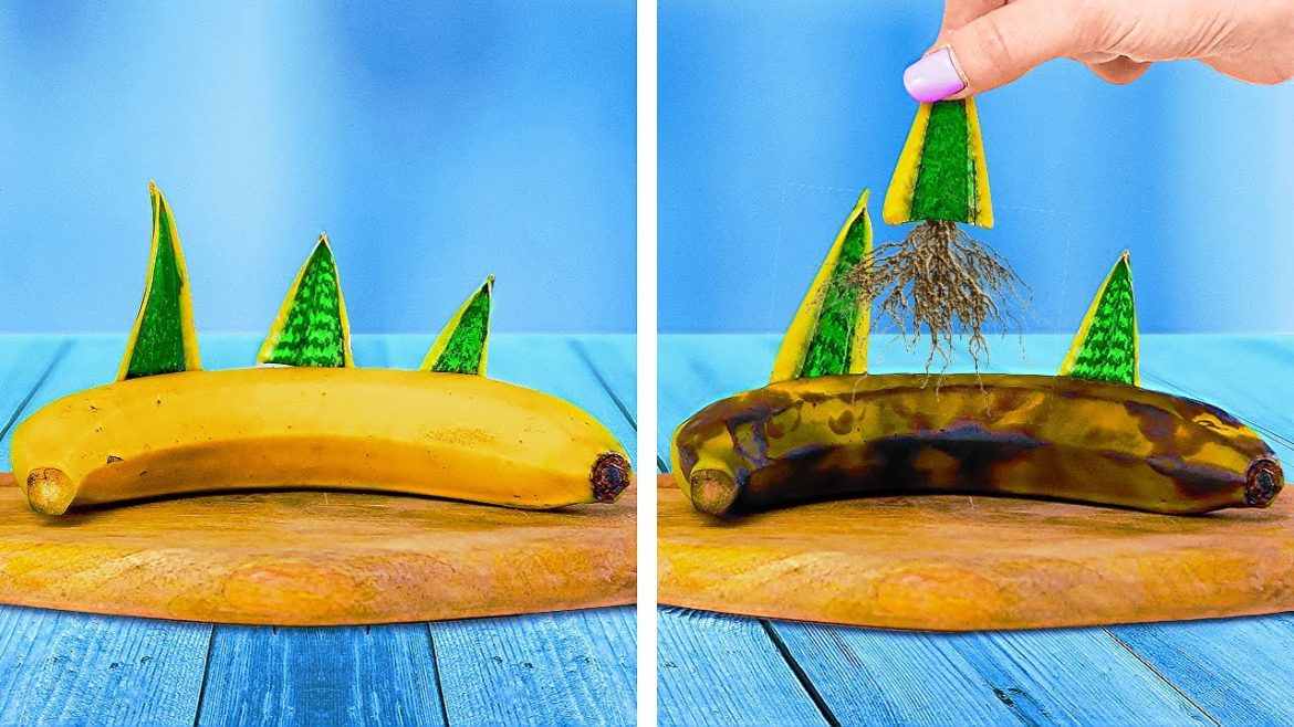 EASY GARDENING TIPS FOR BEGINNERS