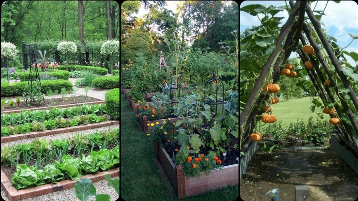 Beautiful & Stunning Garden vegetables Ideas