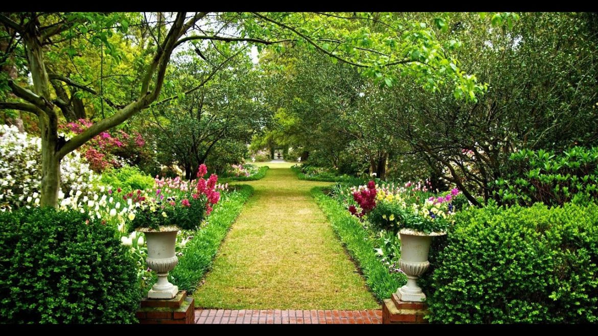 Landscape design | 80 best compositions for a flower garden that you will like Landscape design | 80 best compositions for a flower garden that you will like