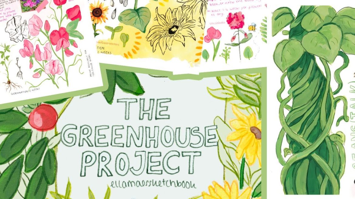 The Greenhouse Project | gardening and sketchbook tour 🍅