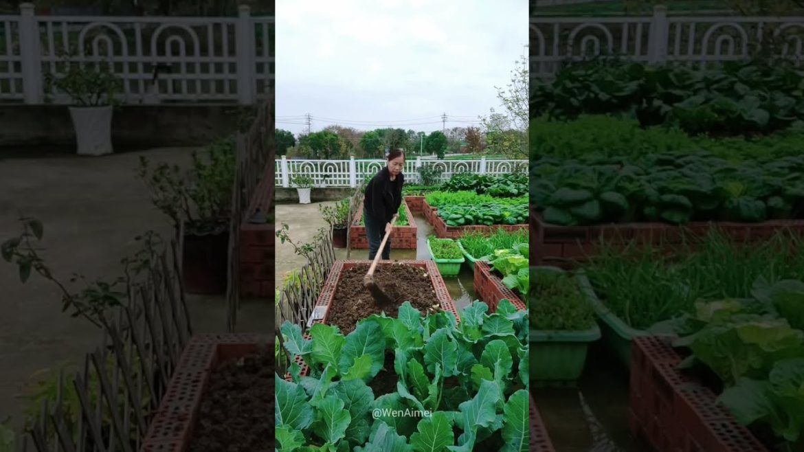 Beautiful Nature with Rural Life #shorts #naturalife #rurallife