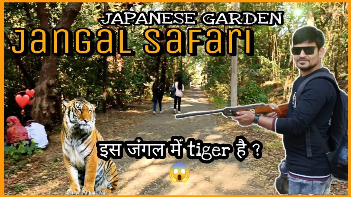Japanese garden | वन उद्यान | Nagpur 2022 @PBR Vlogs  | jangal Safari tourist places