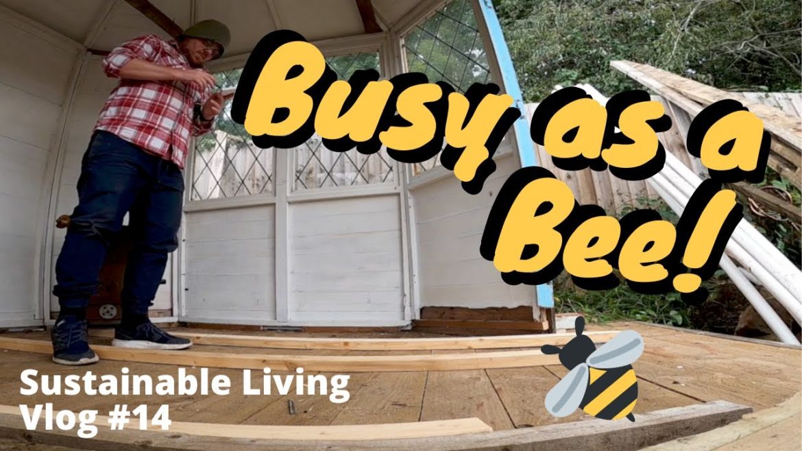 Winter Allotment prep & Rewilding my Back Garden - Gardening ideas - vegetable gardening