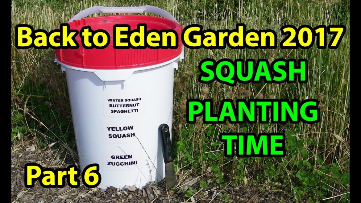 NO TILL B2E Method Organic Vegetable Gardening Soil Building with mulch for beginners 101.  Pt 6