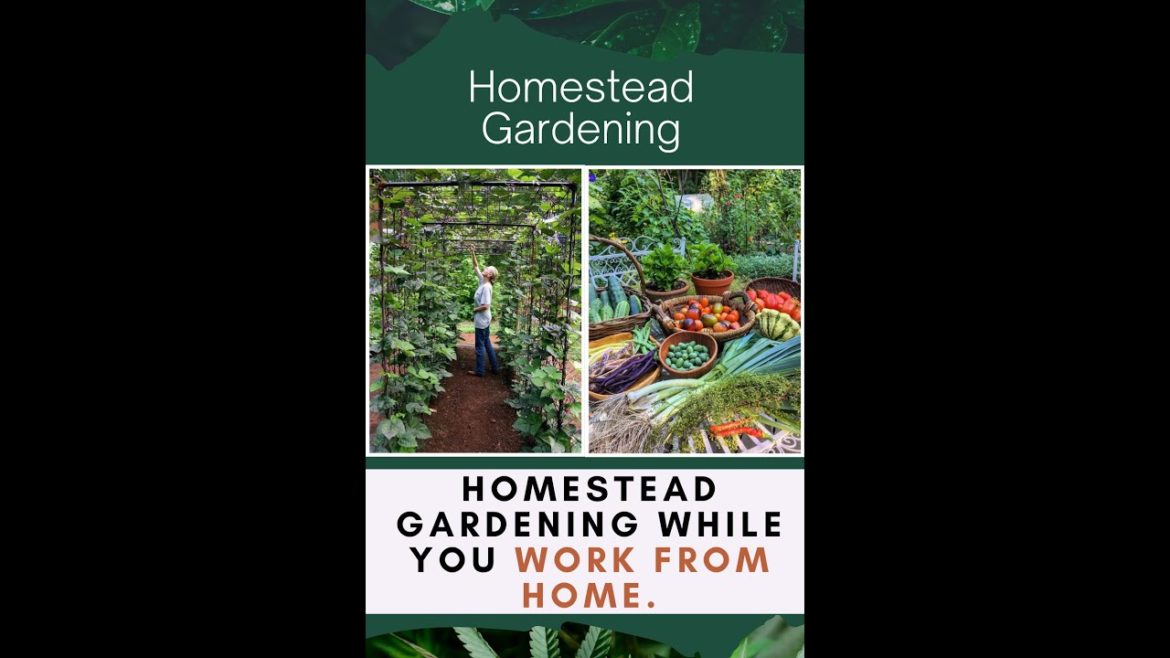Homestead gardening while you work from home #vegetablegardening #selfsufficientcouples Homestead gardening while you work from home #vegetablegardening #selfsufficientcouples