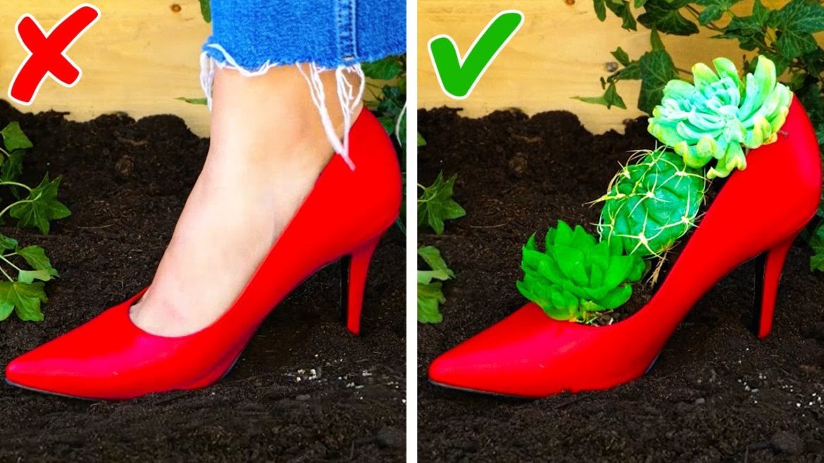 Simple Gardening Tips For Plant Lovers || Decorate Your Home With Beautiful Plants!