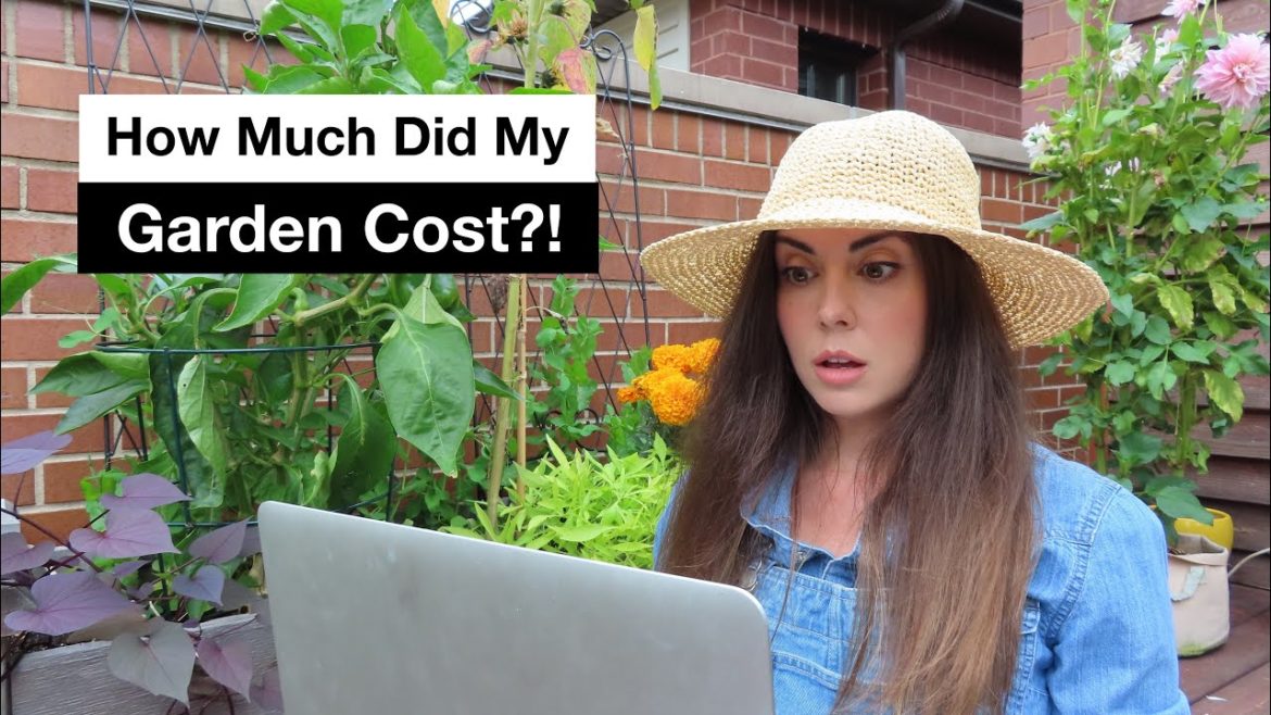 The Total Cost of My 2021 Container Garden The Total Cost of My 2021 Container Garden