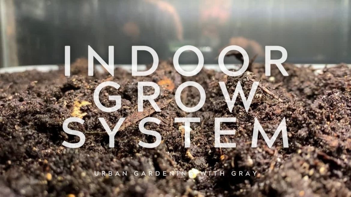 Indoor Growing System #gardening #agriculture