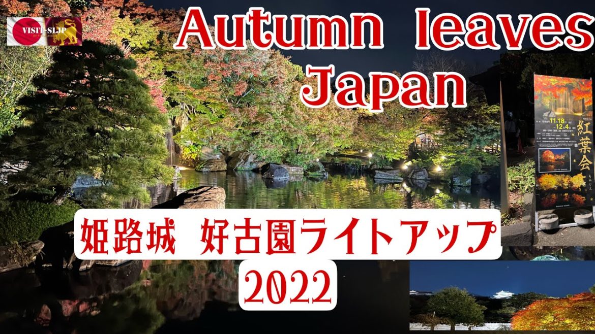 Autumn Leaves in Japan Autumn Leaves in Japan