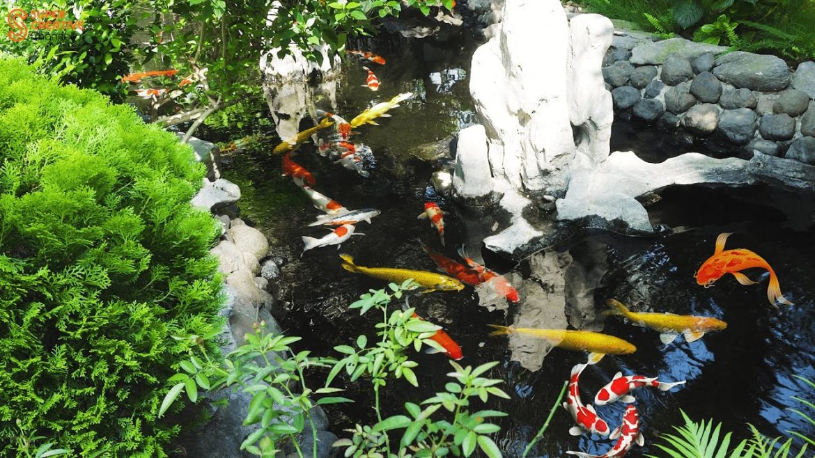 DIY beautiful outdoor Koi aquarium DIY beautiful outdoor Koi aquarium