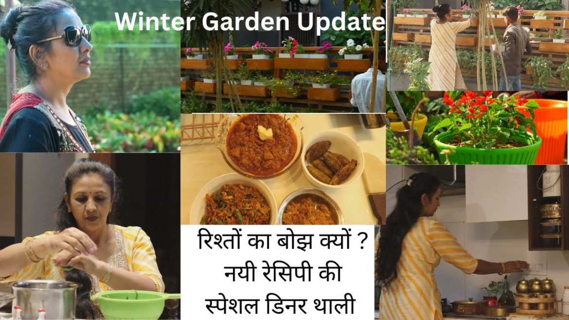 Burden of Relationship, Special Dinner Thali Recipes , Winter Garden Update