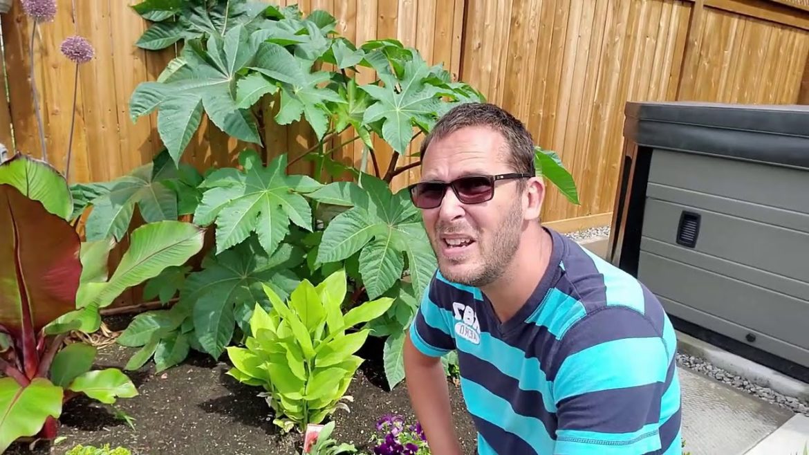 Backyard Garden Tour - July 2020