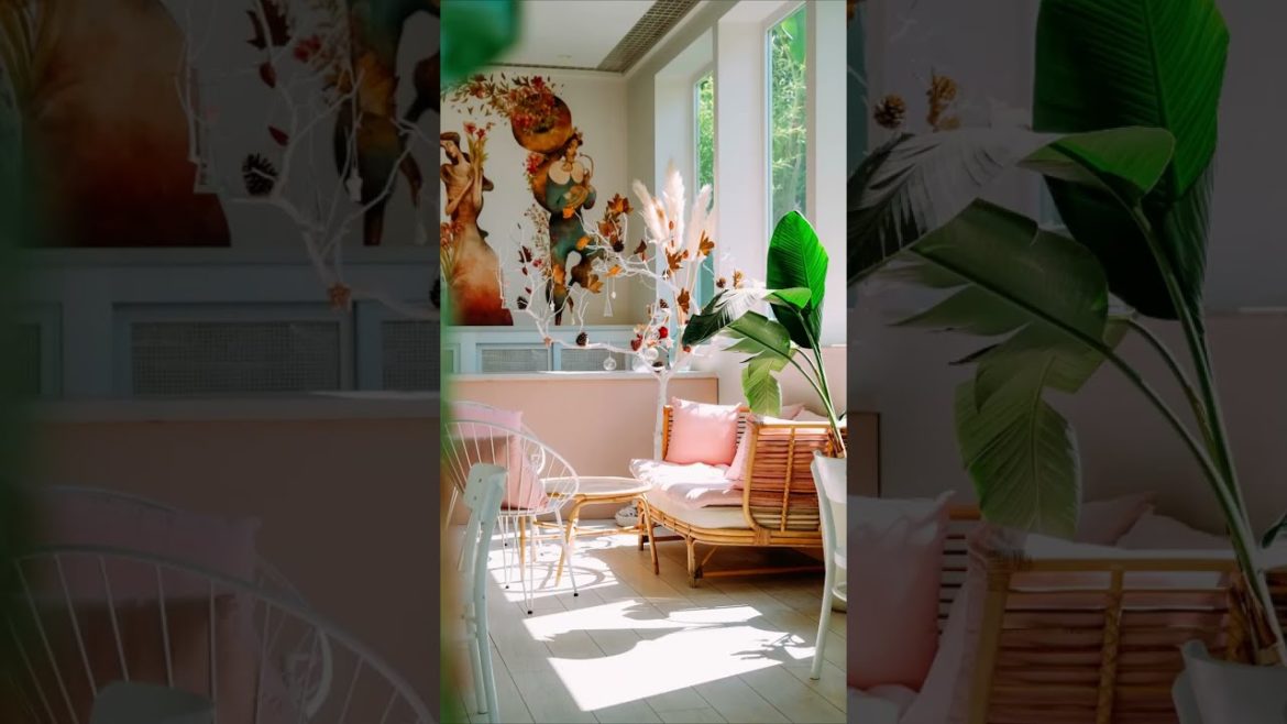 INDOOR PLANTS FOR DECOR #indoorplants #indoorplantsdecoration INDOOR PLANTS FOR DECOR #indoorplants #indoorplantsdecoration