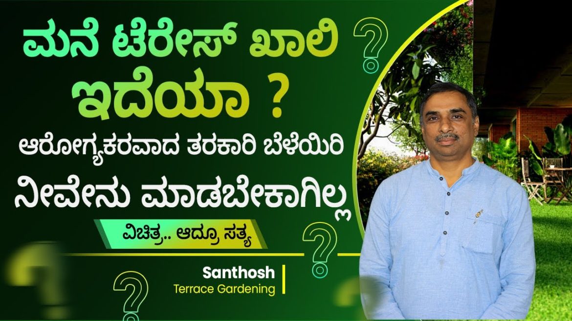 Success Story of Santosh in Terrace Gardening – How to Start a Profitable Terrace Gardening?| Anil Success Story of Santosh in Terrace Gardening - How to Start a Profitable Terrace Gardening?| Anil