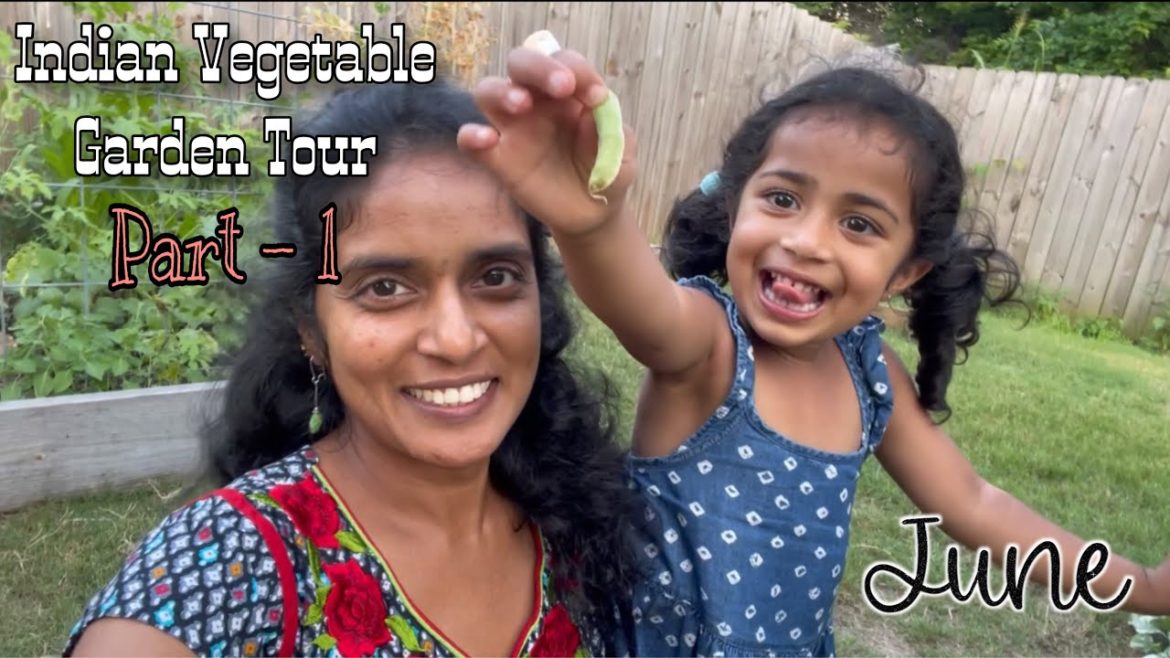 Garden Tour Part 1 | Indian Vegetable Garden in USA | zone 6 Organic Garden |