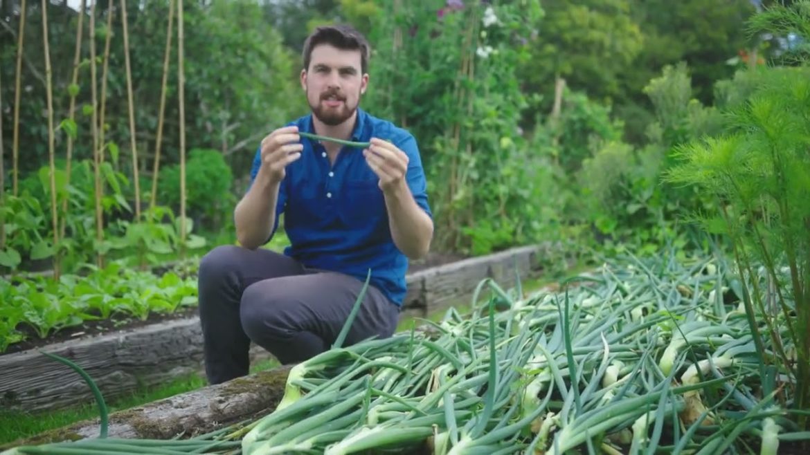 🔴 Gardeners' World 2022 | How to get Extra from Your Vegetable Garden 🍀 Harvesting Tips