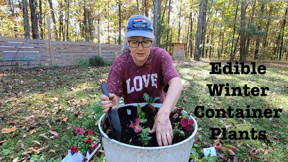 Using Edible Greens in my Winter Planting Containers