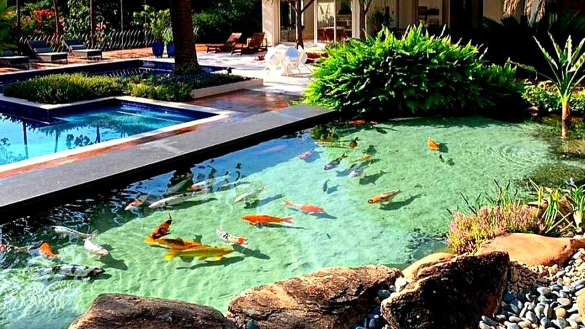 Most Beautiful Villa Koi | Gorgeous Backyard Koi Pond Design