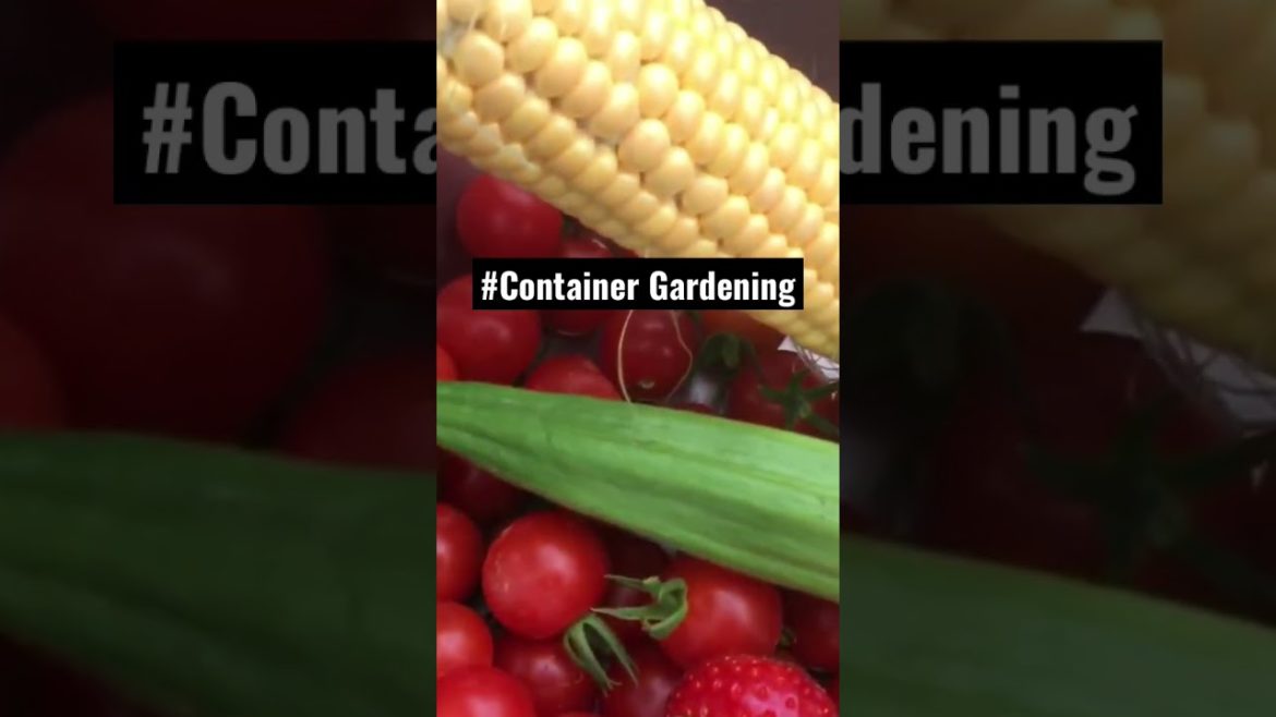 #ContainerGardening