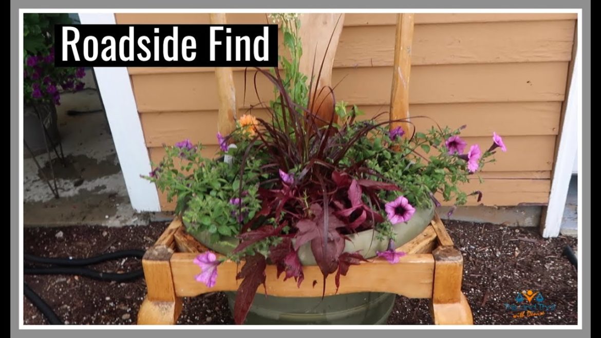 Creating a Container Garden with a Roadside Find | Container Garden Challenge 2021 Creating a Container Garden with a Roadside Find | Container Garden Challenge 2021
