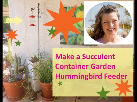 Make a Succulent Container Garden Hummingbird Feeder Make a Succulent Container Garden Hummingbird Feeder