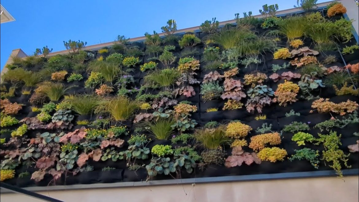 Florafelt Pockets Living Wall by Living Green Design