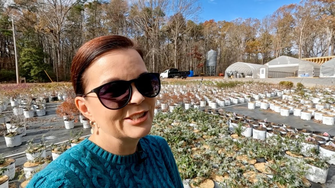 What We Are Doing Now That the Nursery Is Closed | Gardening with Creekside What We Are Doing Now That the Nursery Is Closed | Gardening with Creekside