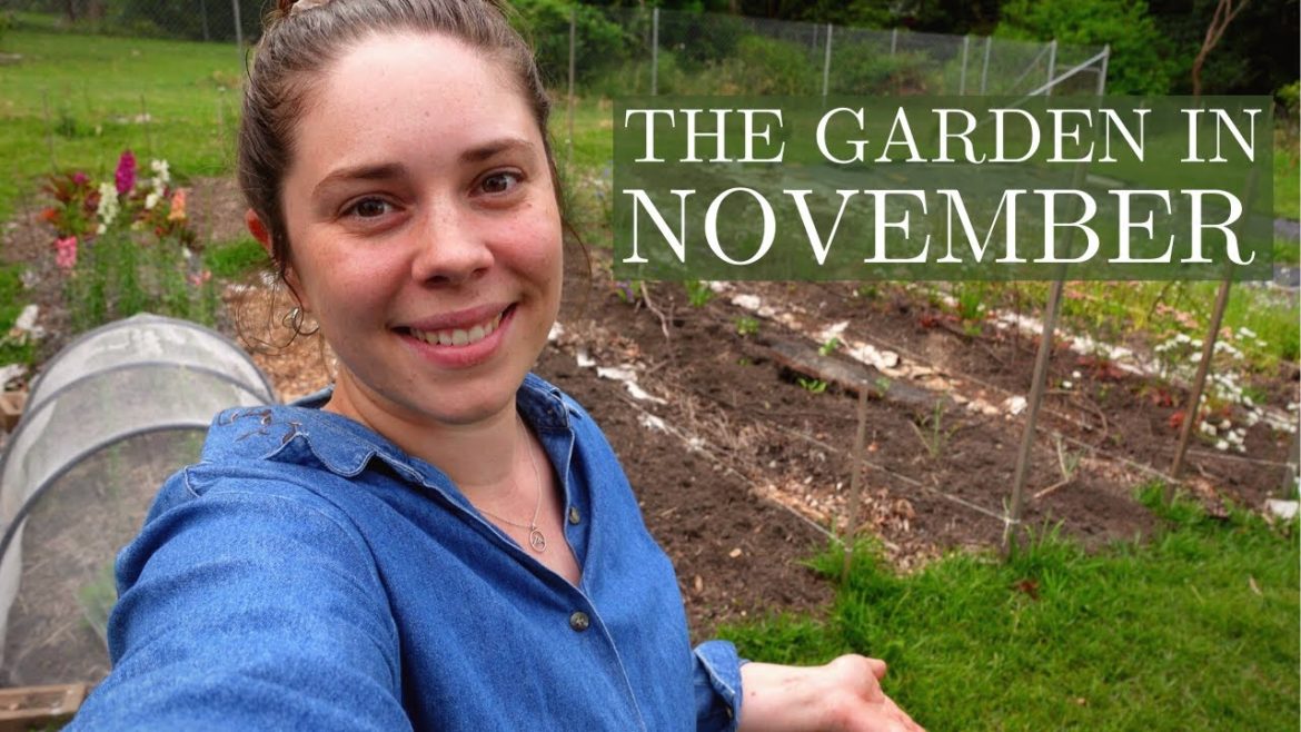 Gardening This Year Has Been Tough! 🌿🌸 A Realistic Permaculture Garden Tour & Flower Farm Update