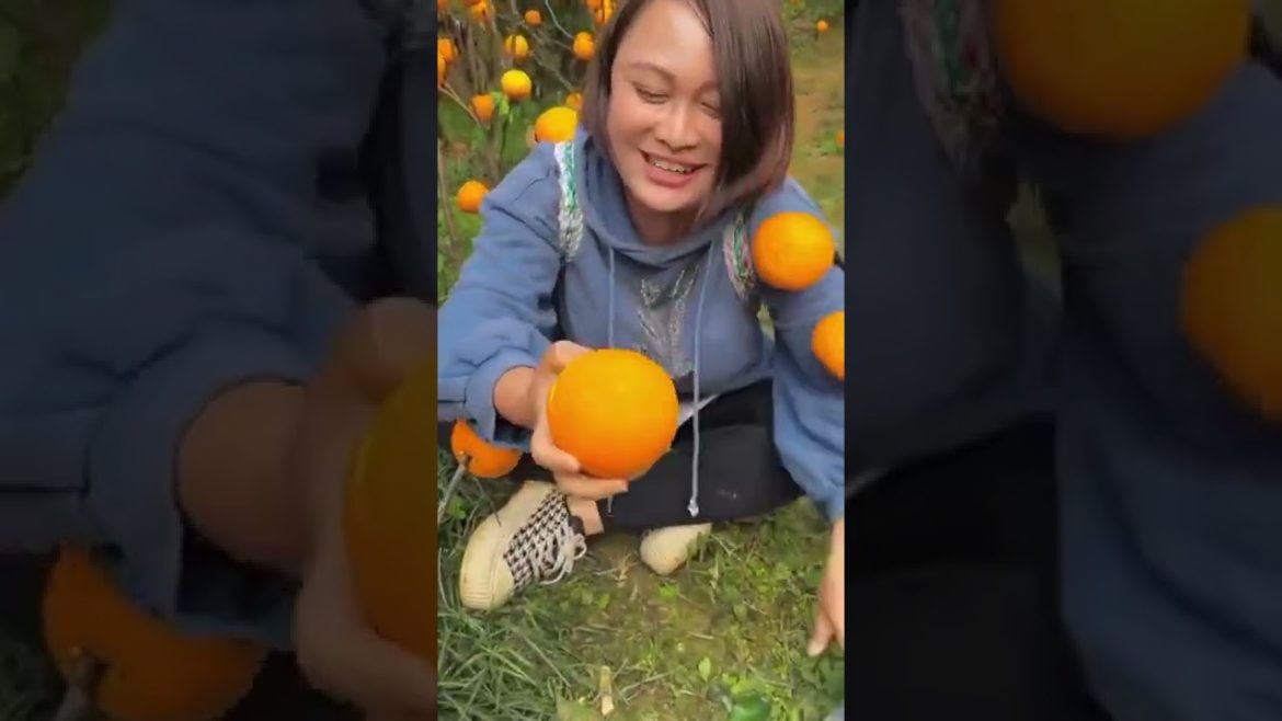 Azfruitmarket 🌹🌼🌹 fruit market 👍 fruit salad 🌺🌸🌻🌼🌼🏵️🌹recipe.#fruit #fruitname #ytshort #short #viral