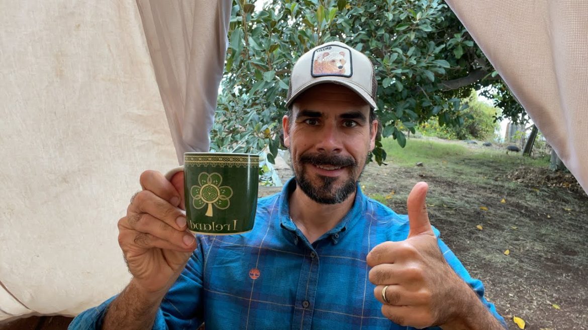 Tea time 🫖 Tea time 🫖