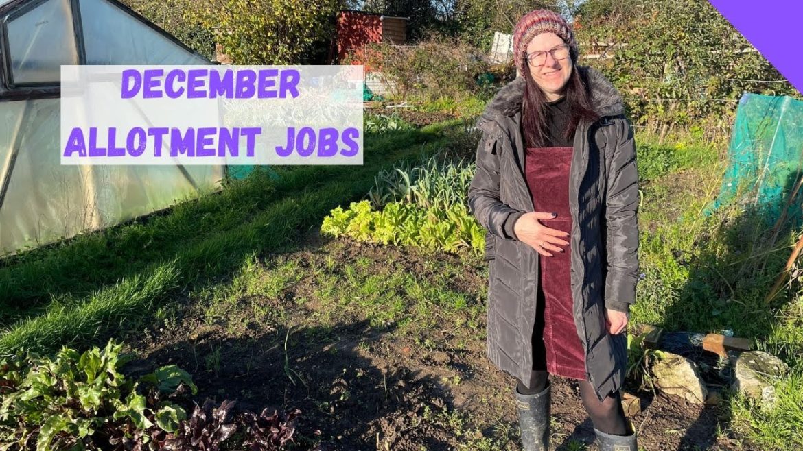 December Allotment Jobs - Store Dahlias For Winter