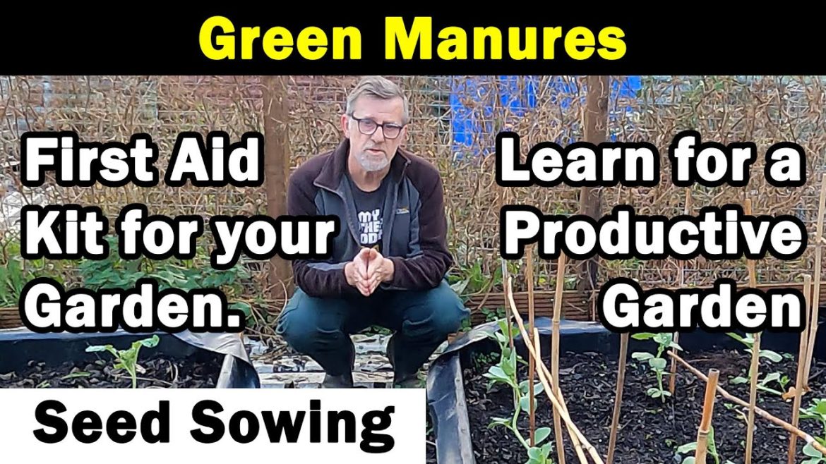 Green Manures | Garden First Aid Kit | Learn for best Productivity | Green Side Up