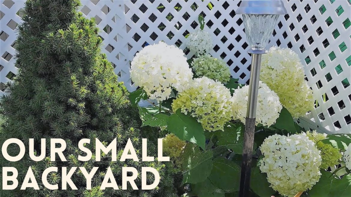 SMALL BACKYARD GARDEN TOUR | FLOWERS AND BEES | ZONE 5A CANADA SMALL BACKYARD GARDEN TOUR | FLOWERS AND BEES | ZONE 5A CANADA