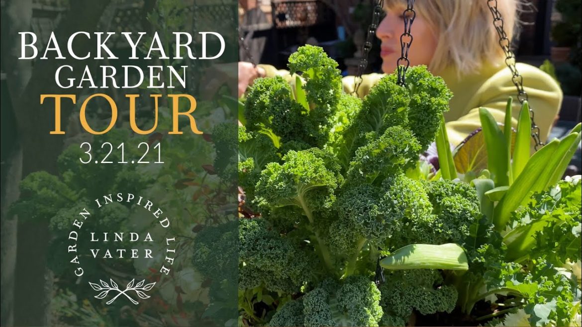 🍀 🥾🍀 March Backyard Garden Tour 🍀 🥾🍀 March Backyard Garden Tour