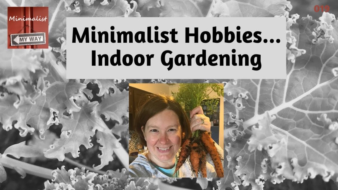 How to Grow Your Own Plants Indoors: Fun Minimalist Hobbies!