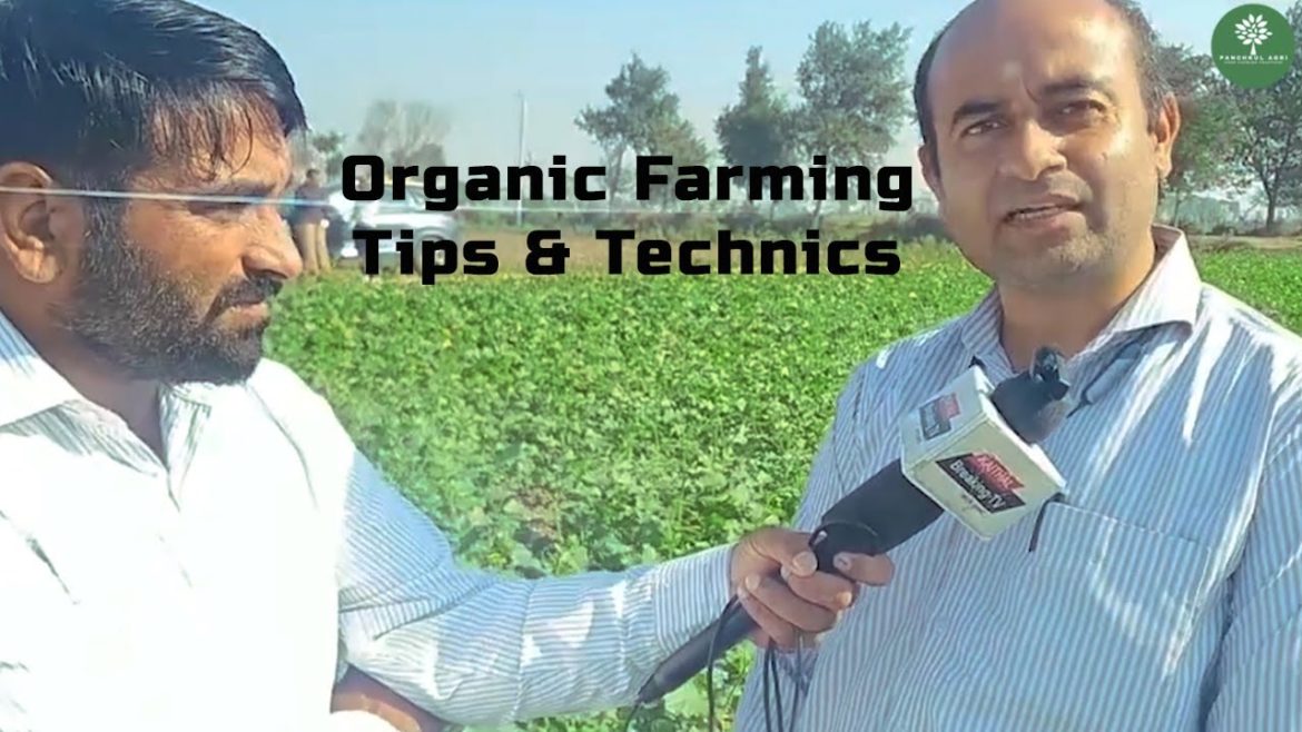 Panchkul Agri | Organic Farming tips | Decomposition tips